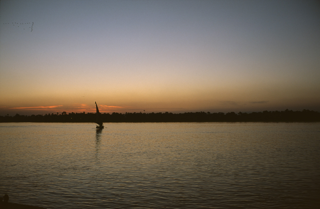 egyp11_26 nil  coucher vol oiseaux vert.jpg - Nil Sur le Nil à Luxor coucher de soleil depuis notre hôtel Provia 100 F